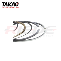 ANEIS (JG)-ASCH20/STD