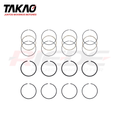 ANEIS (JG)-ASFI16G/060